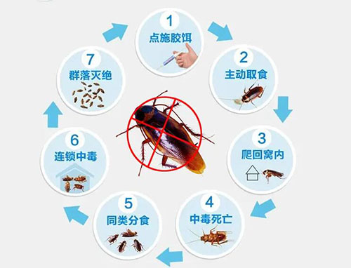 分享臭虫防治的方法