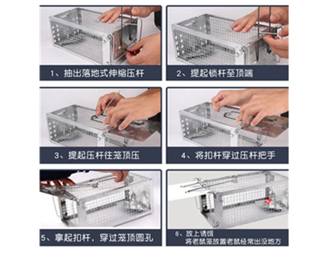 曾粤宗单门笼